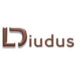 Diudus leather tools